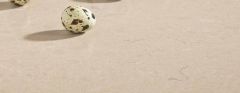 Arte Marble Belenco 3333 Boletus Seta