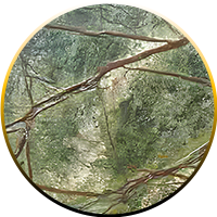 Rain Forest Green