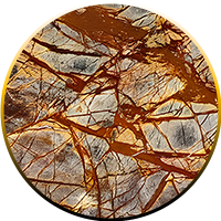 Rain Forest Brown