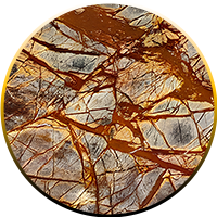 Rain Forest Brown