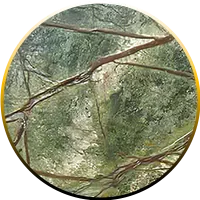 Rain Forest Green