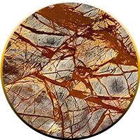 Rain Forest Brown
